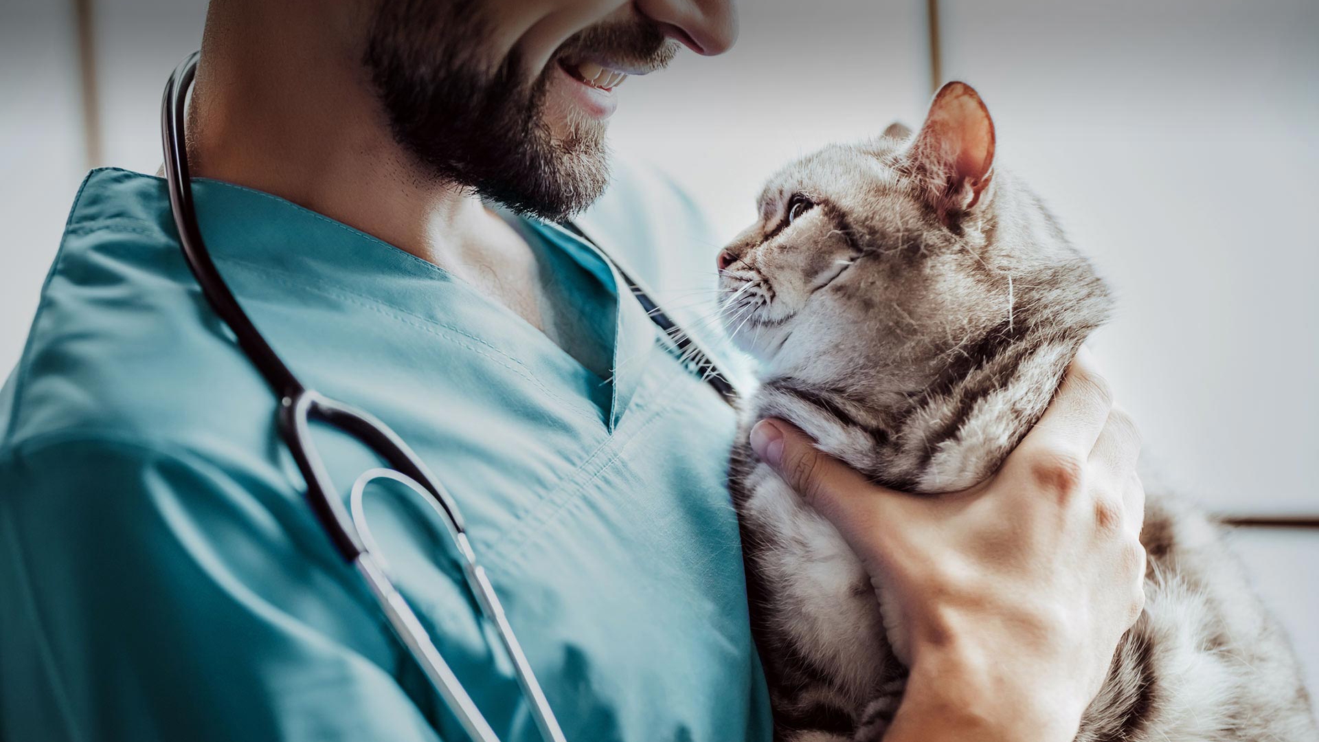 Büyükçekmece Veteriner